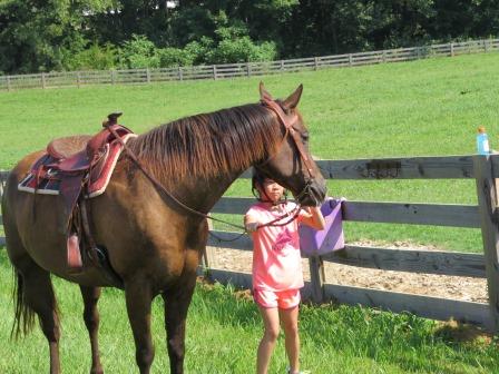 Horse Riding